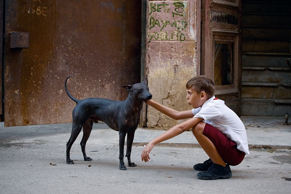 Photograph by Рашид Усманов