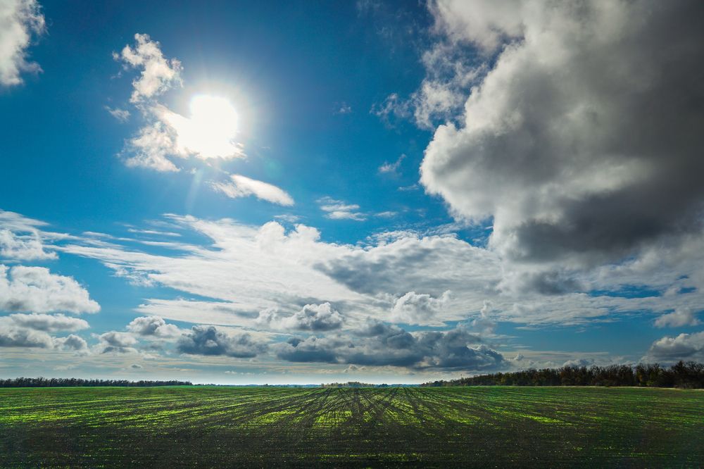 Сквозь горизонт