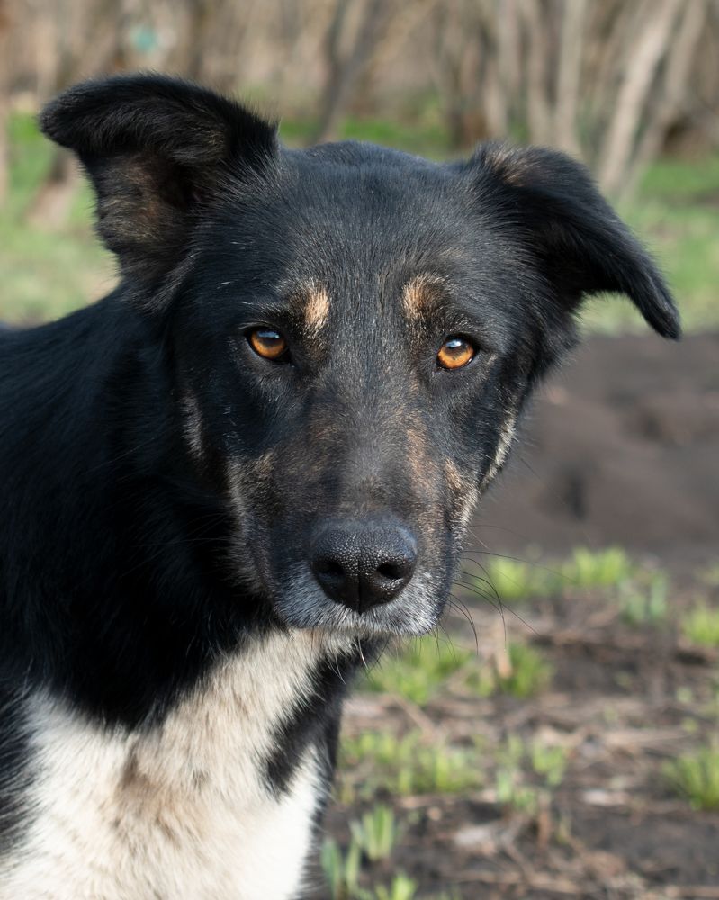 Photograph by Elena Lopatina