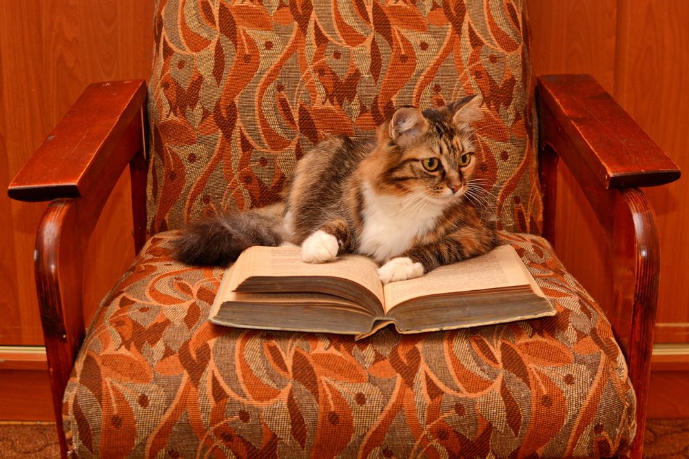 Photograph by Andrey