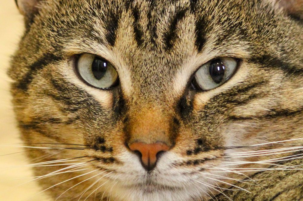 Photograph by Елена Верховская