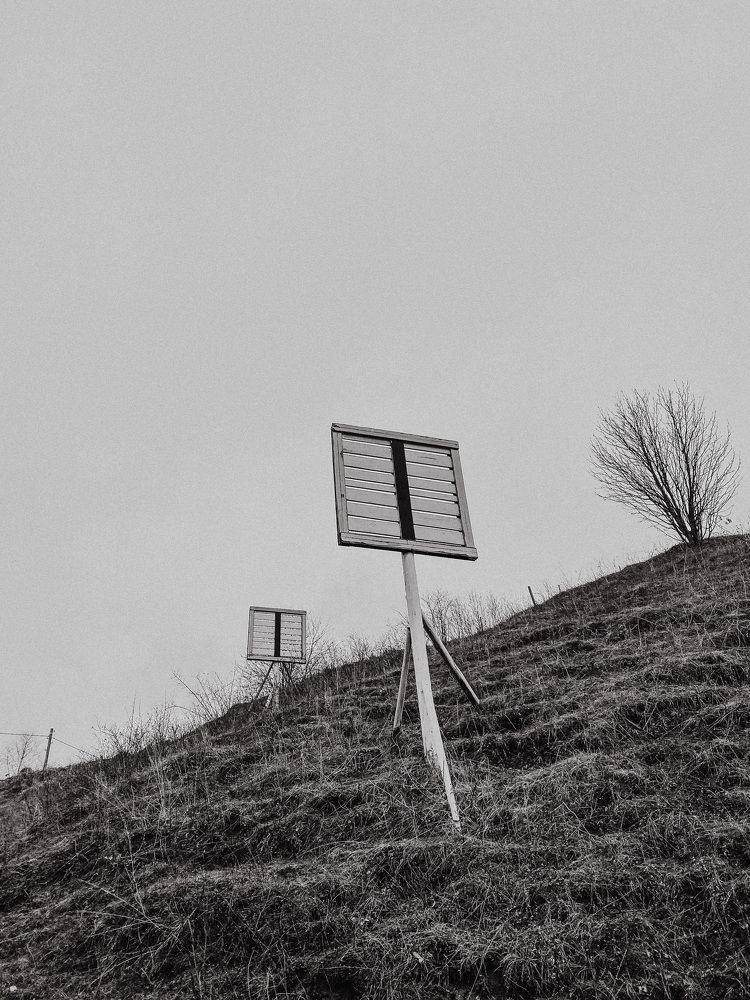 Photograph by Наталья Могилевская