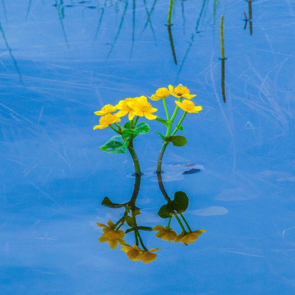 Photograph by Олег Ловцов