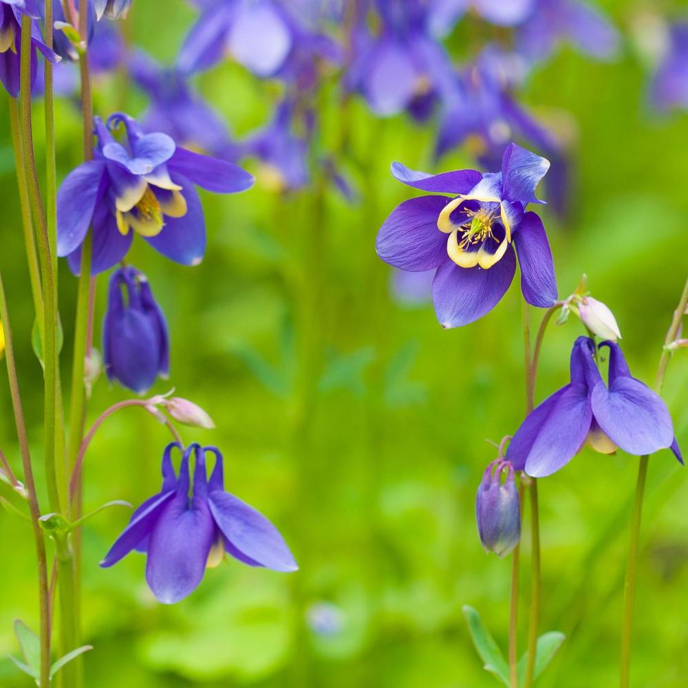 Photograph by Олег Ловцов