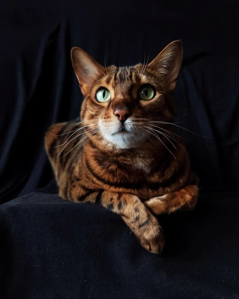 Photograph by Валентина Шевченко