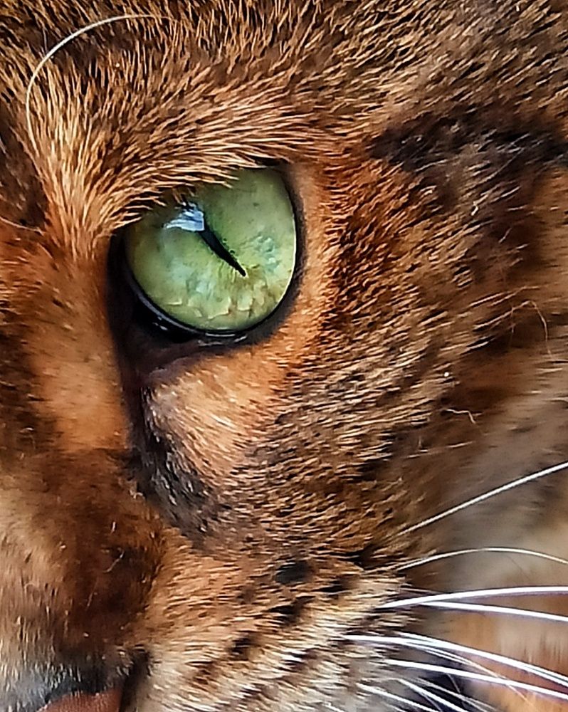 Photograph by Валентина Шевченко