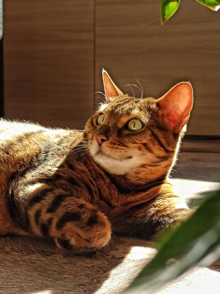 Photograph by Валентина Шевченко