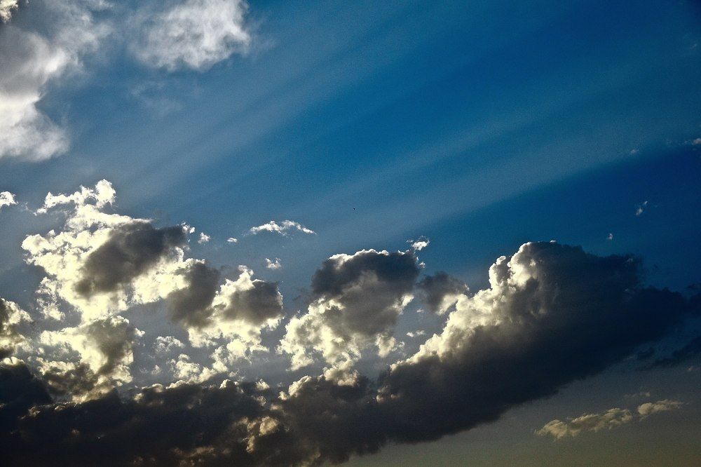 Photograph by Rishay Madan