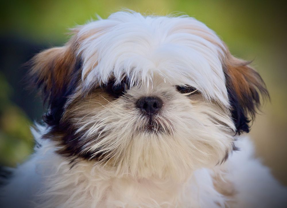 Photograph by Rishay Madan