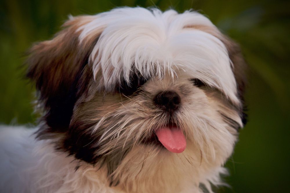 Photograph by Rishay Madan