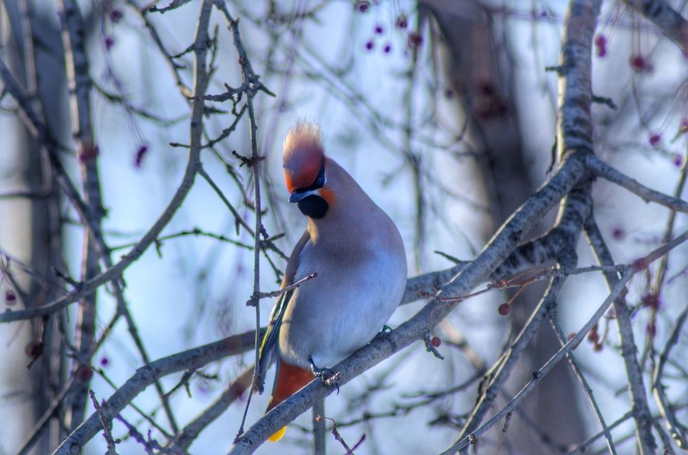 Photograph by Татьяна Холодная