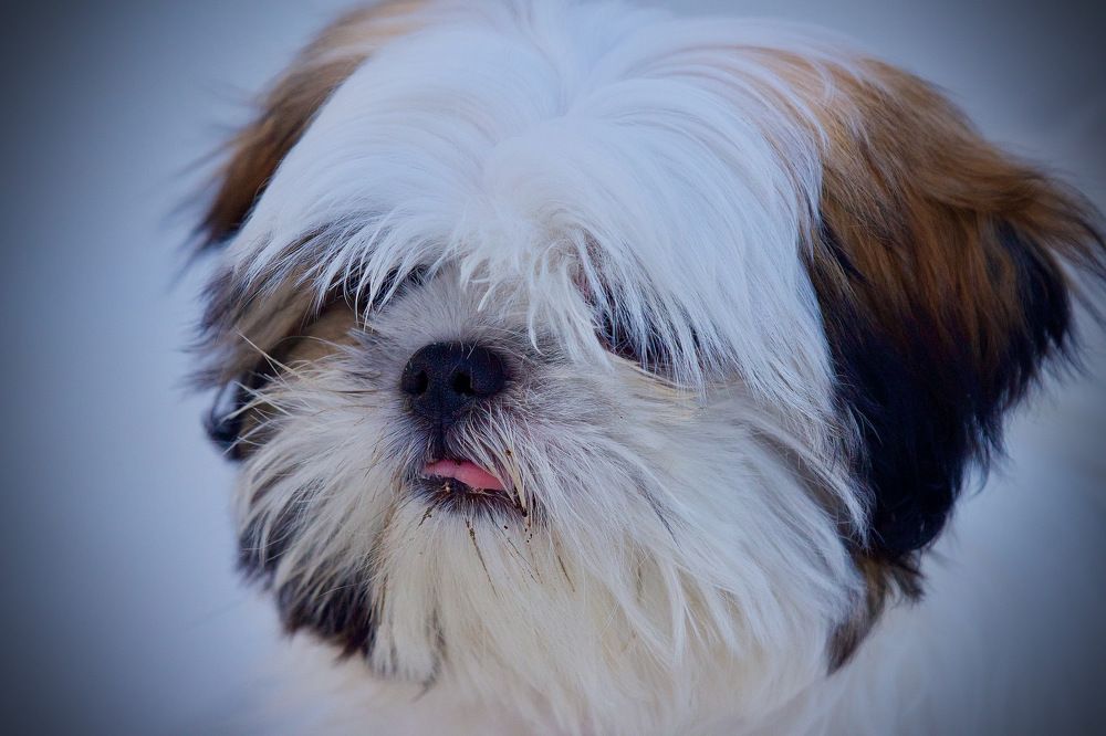 Photograph by Rishay Madan