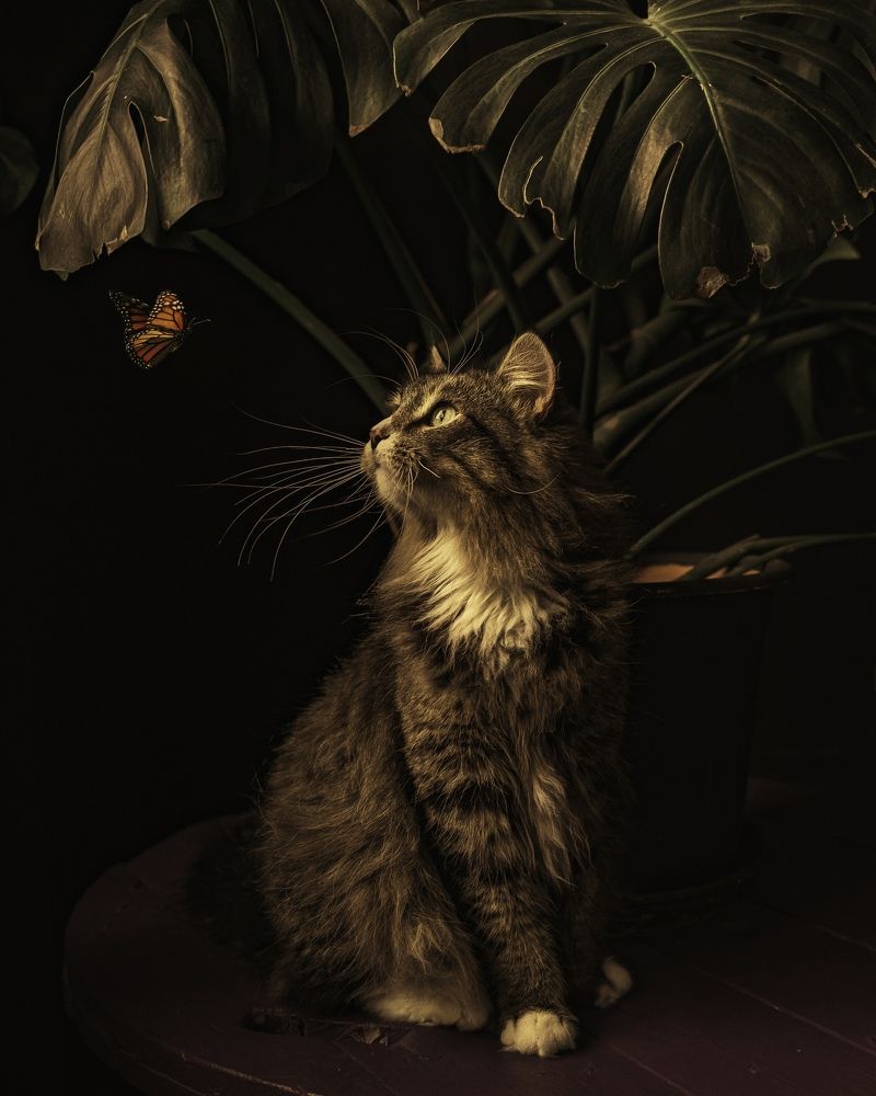 Photograph by Волков Денис