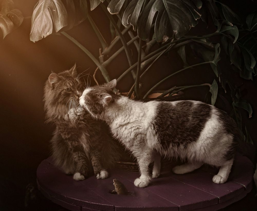 Photograph by Волков Денис