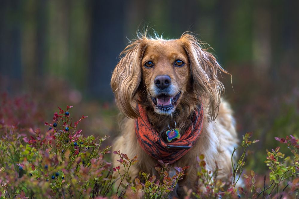 Photograph by Анна Кривицкая