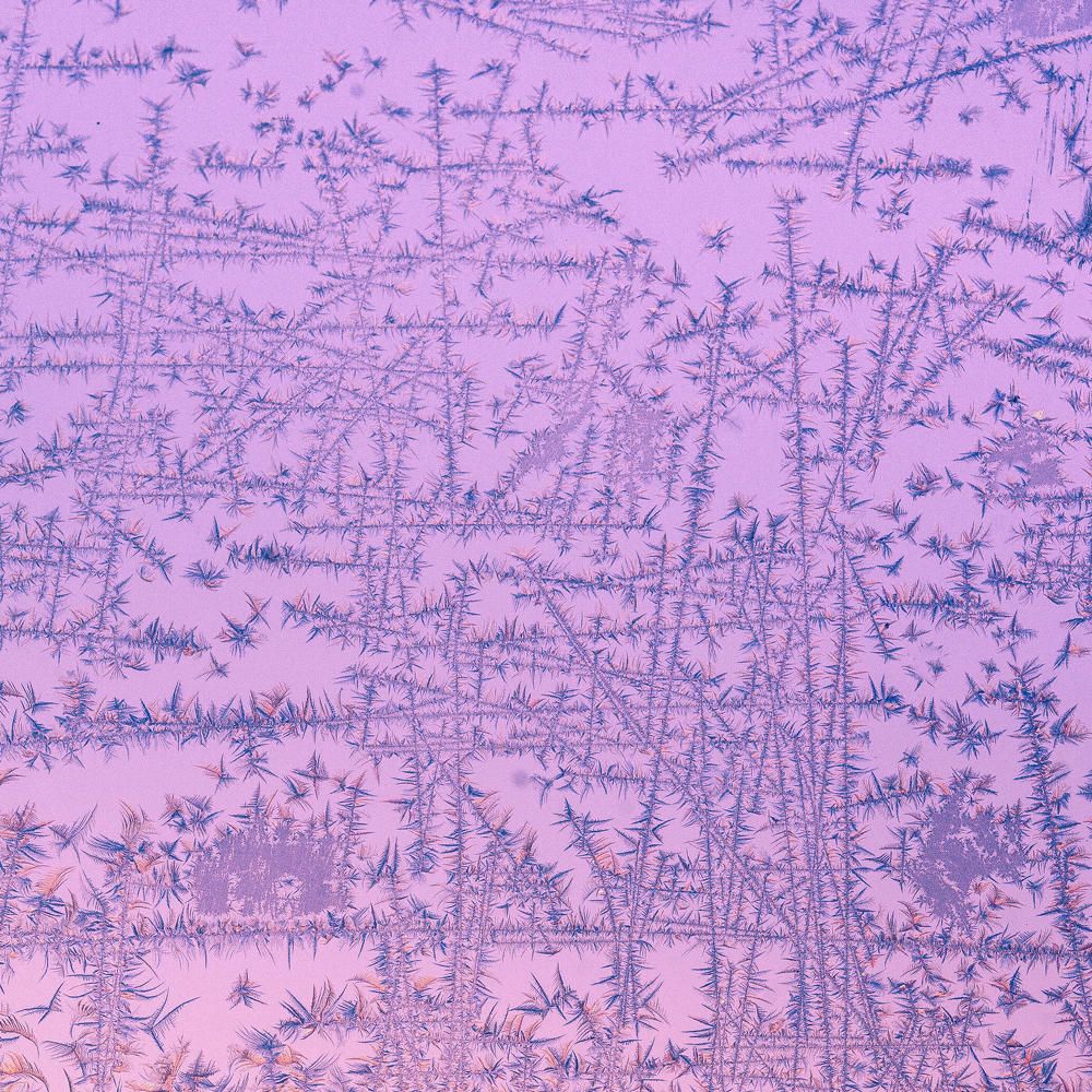 Photograph by Олег Ловцов