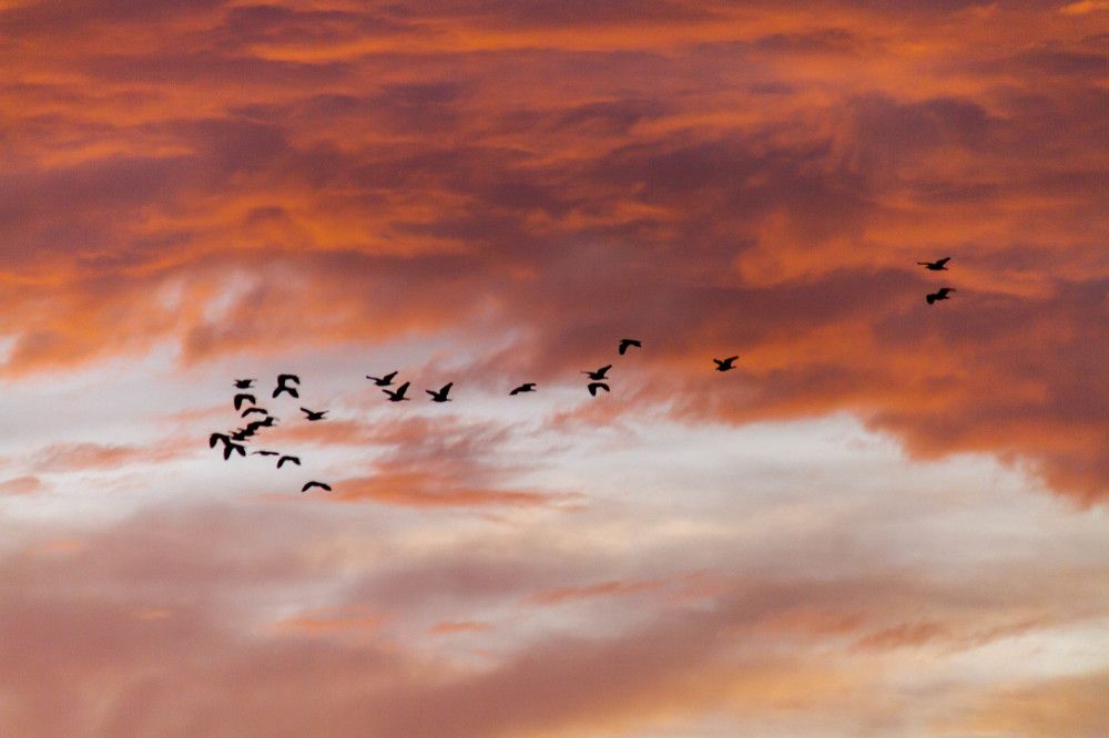 Photograph by Kanal Budiarto