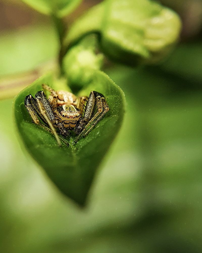 Photograph by Сергей Аксёнов