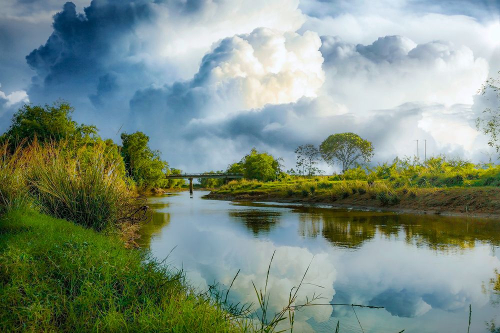 Photograph by Ngọc Nguyễn