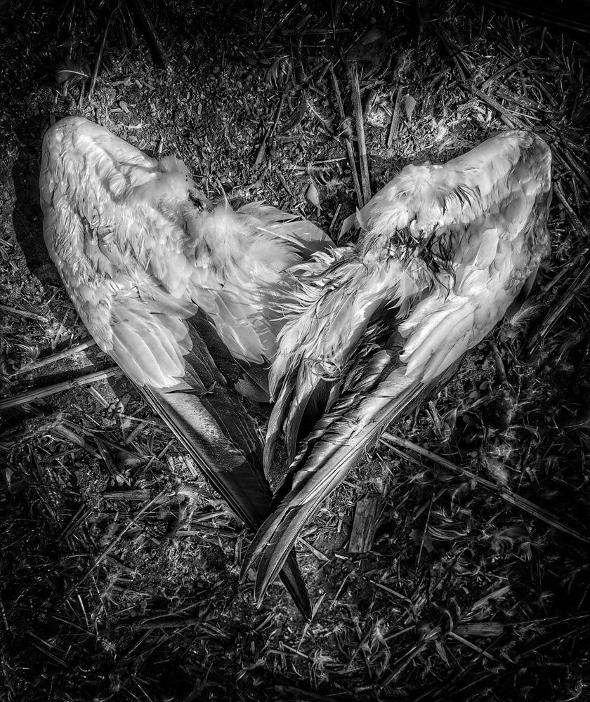 Да лети оно всё....