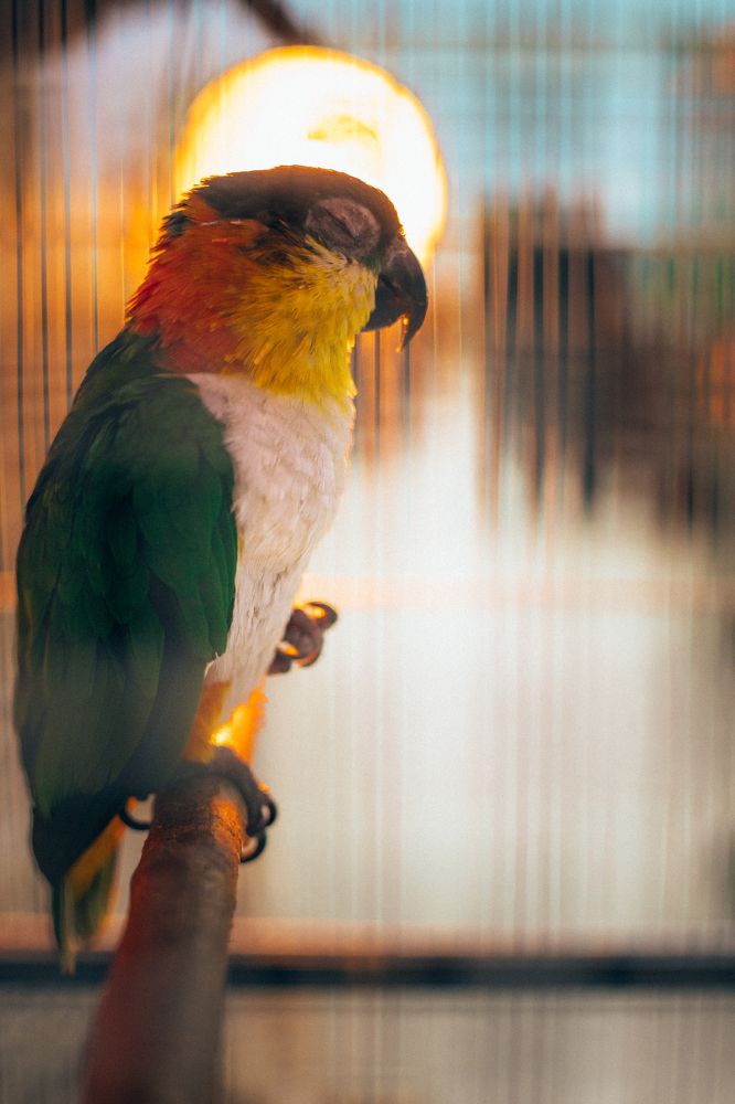 Photograph by Артемий Соловьёв