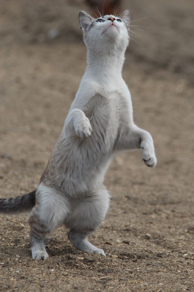 Photograph by Артемий Соловьёв