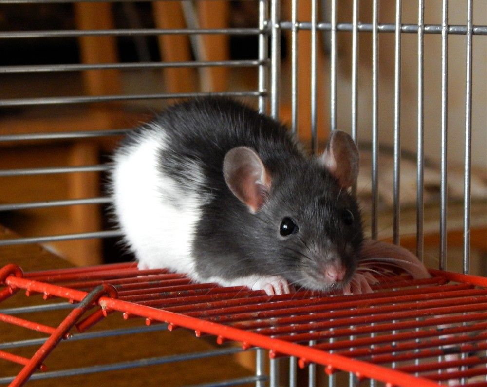 Photograph by Ирина Самойленко