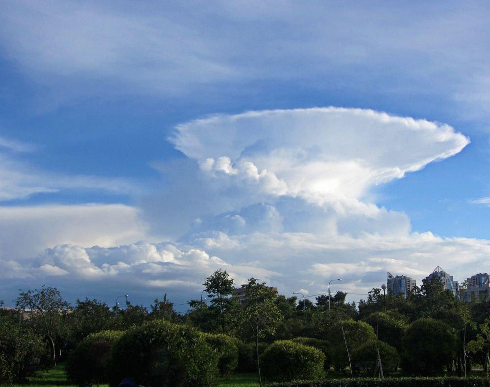 Photo #6075446