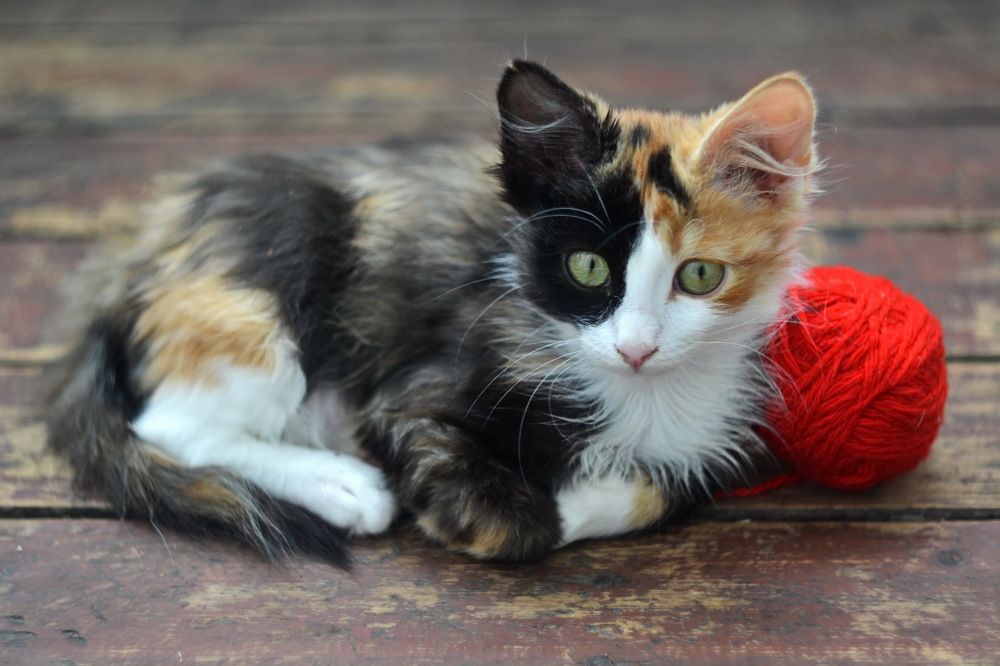 Photograph by Andrey