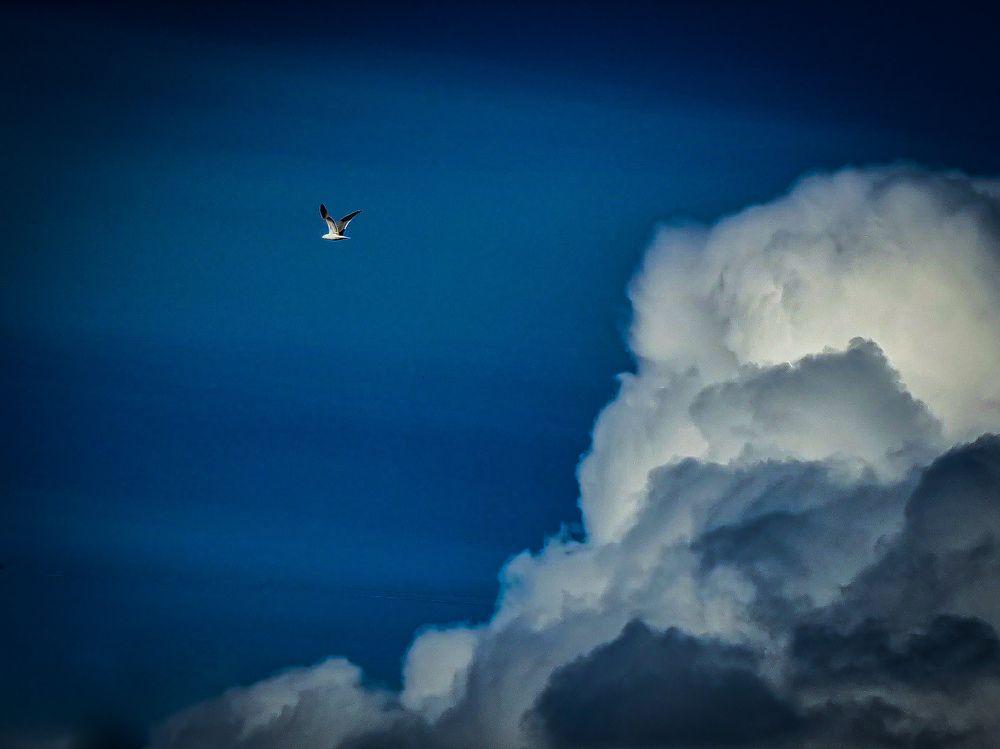 Photograph by Ахсарбек Абаев