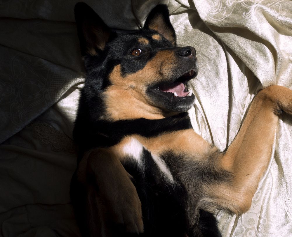 Photograph by Василиса Канакова