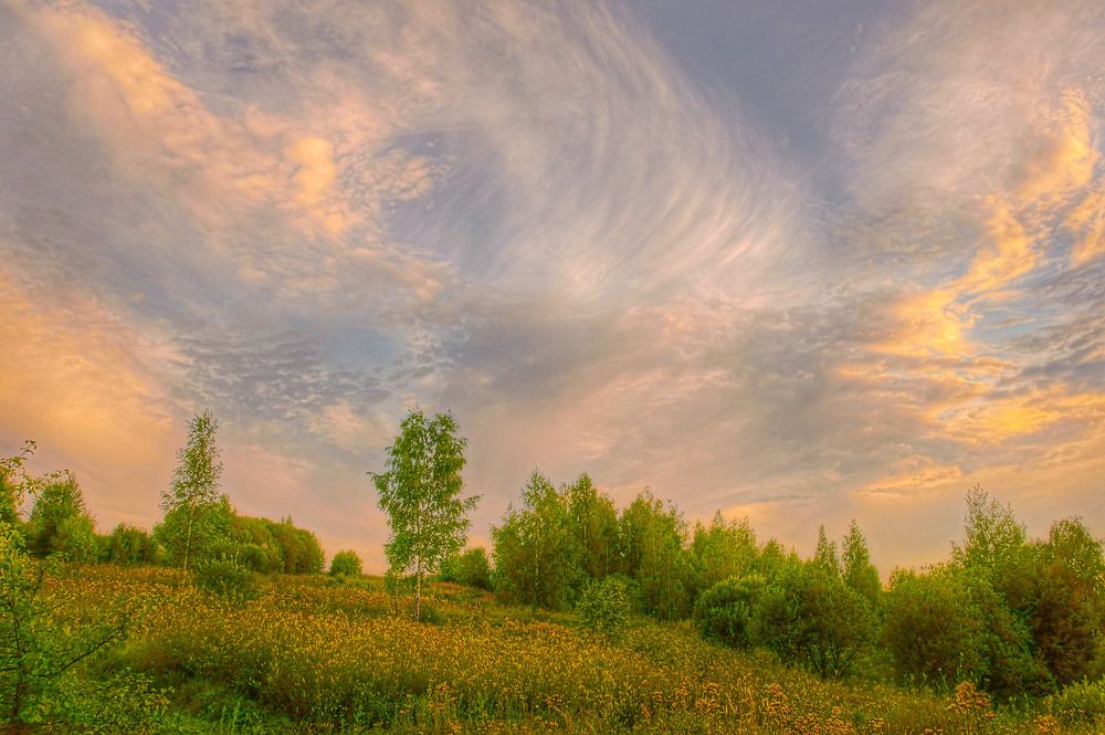 Photograph by Светлана Кондрашова