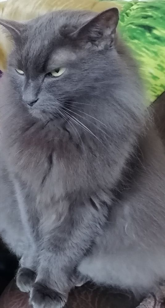 Фотография автора Оксана Зеленко