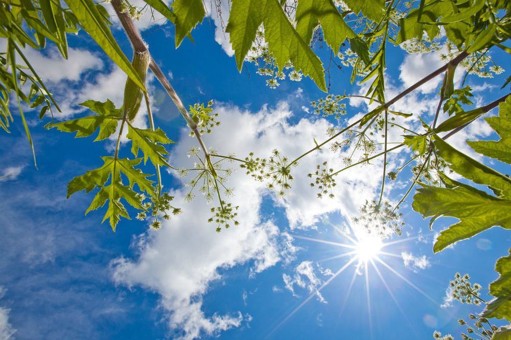 Photograph by Алексей Ловцов