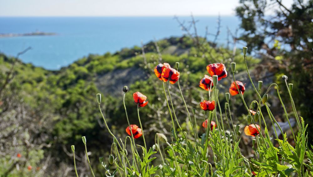 Фотография автора Эрнст Антонов