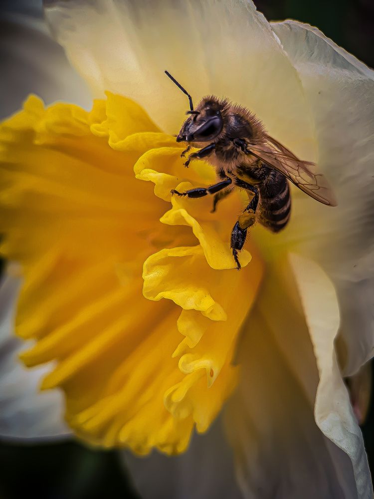 Photograph by Анна Кабиева