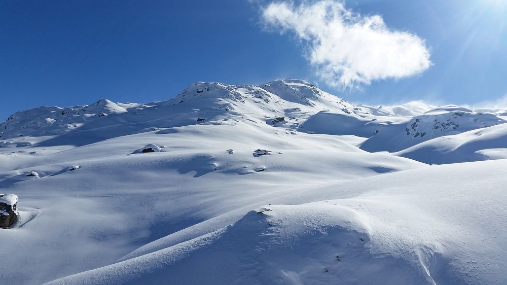 Photo #6075663