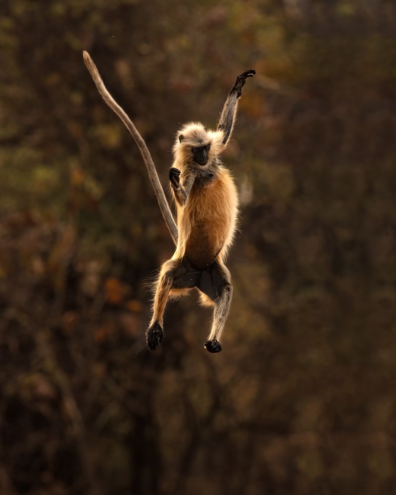 Photograph by Satadru Mondal