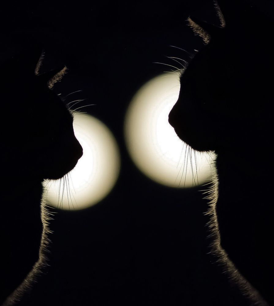 Photograph by Юля Савельева