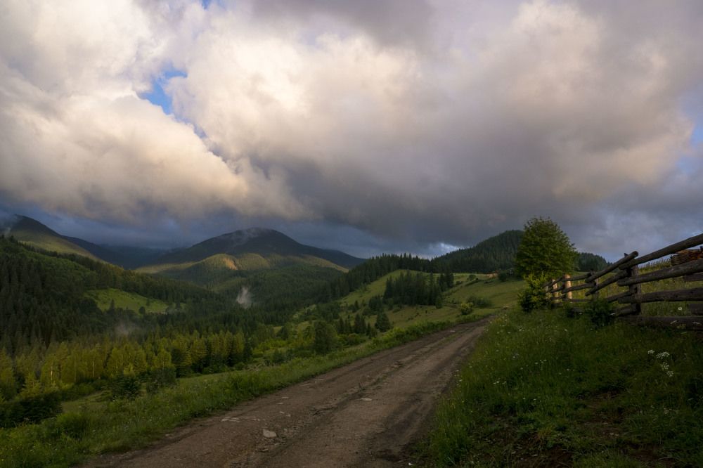 Photograph by Олесь