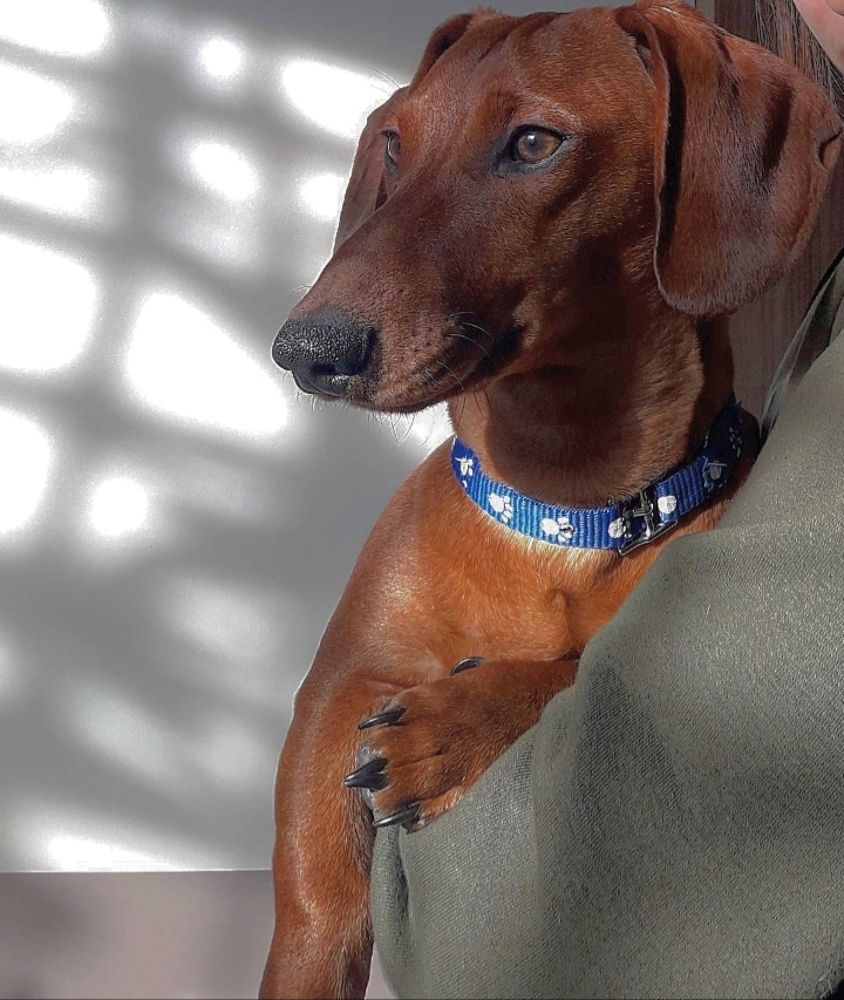 Фотография автора Юля Савельева