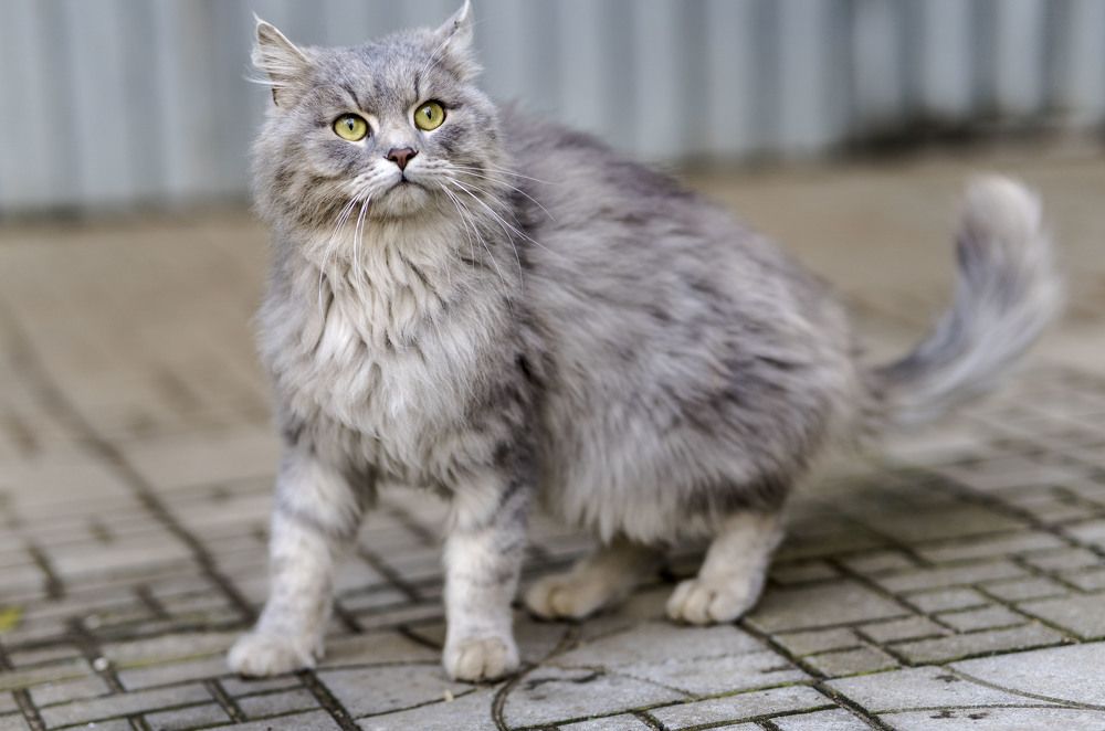 Photograph by Олесь