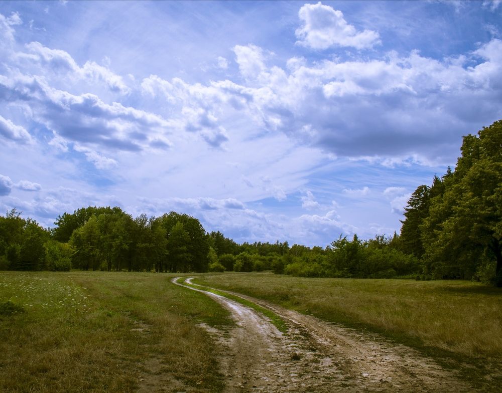 Photograph by Elena Lopatina