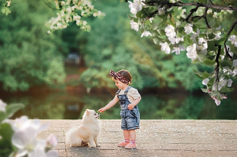 Photograph by Юлия