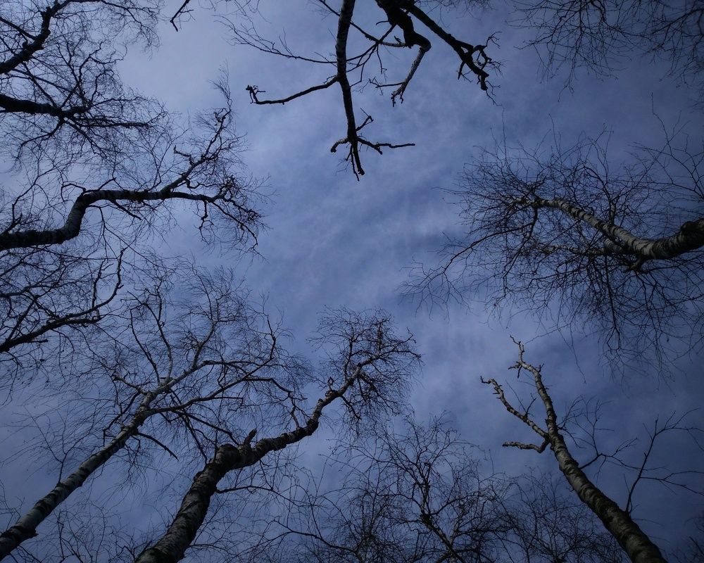 Photograph by Elena Lopatina