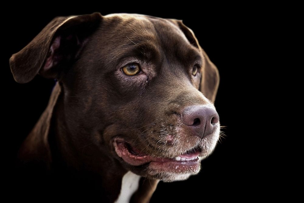 Photograph by Raed Victor Saad