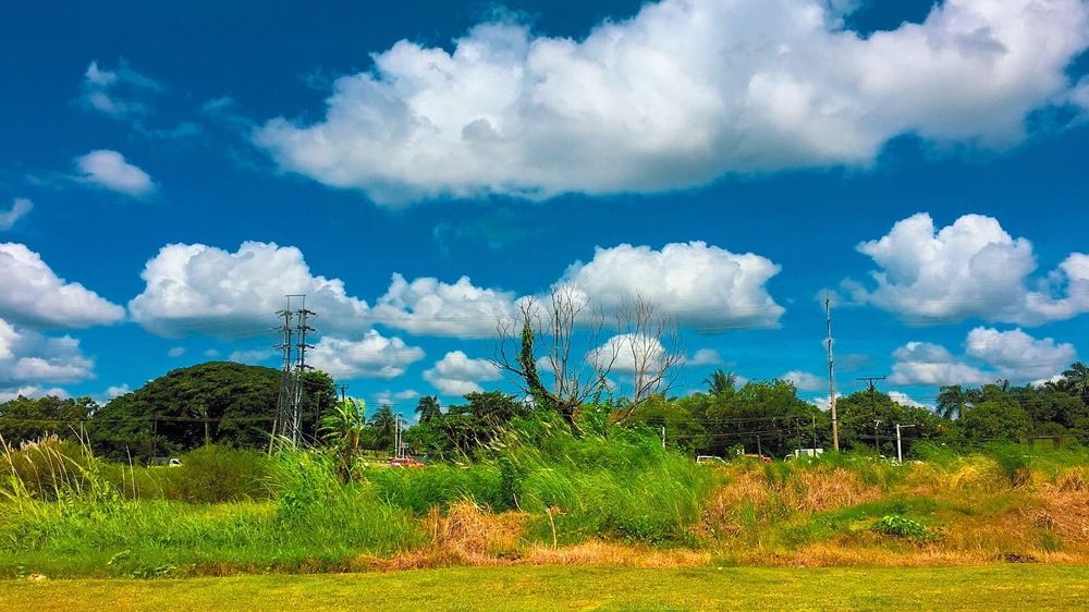 Фотография автора Ko Hla Myint Oo