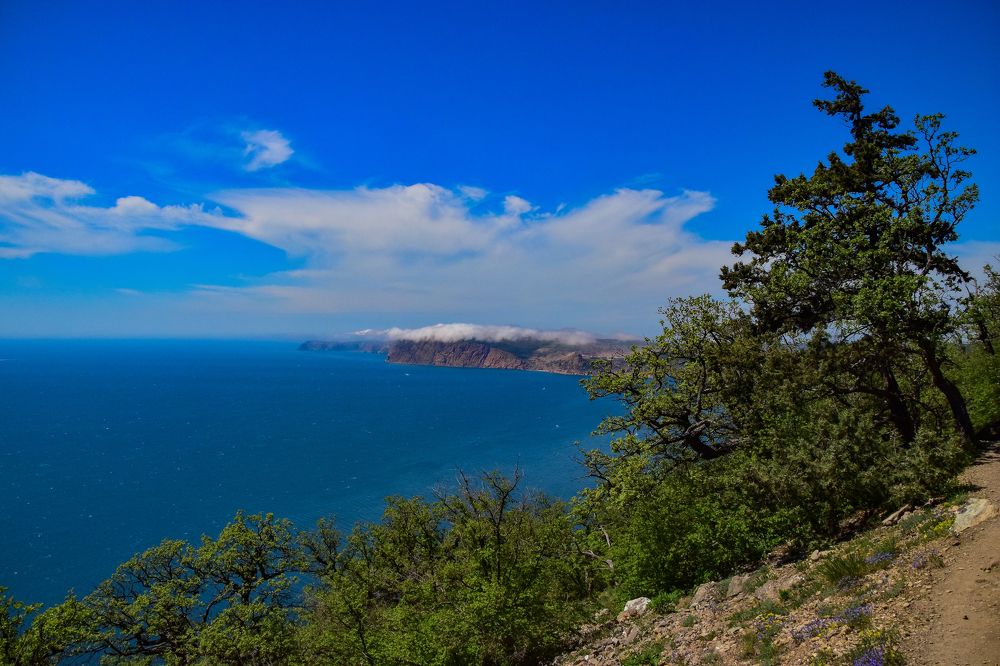 Photograph by Алексей Щегольков