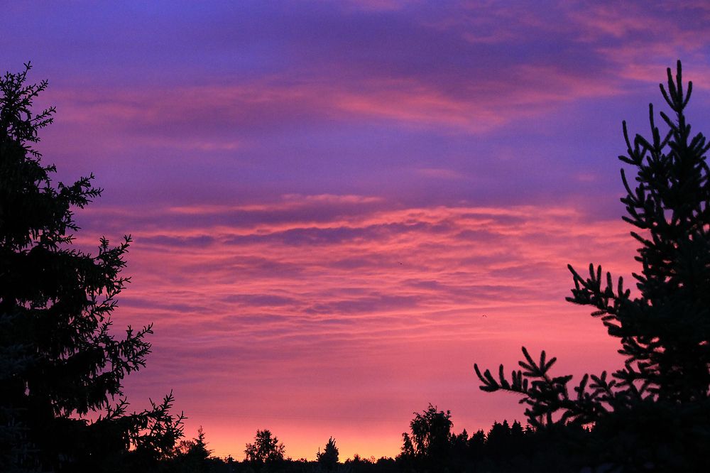 Photograph by Наталья Жигарева