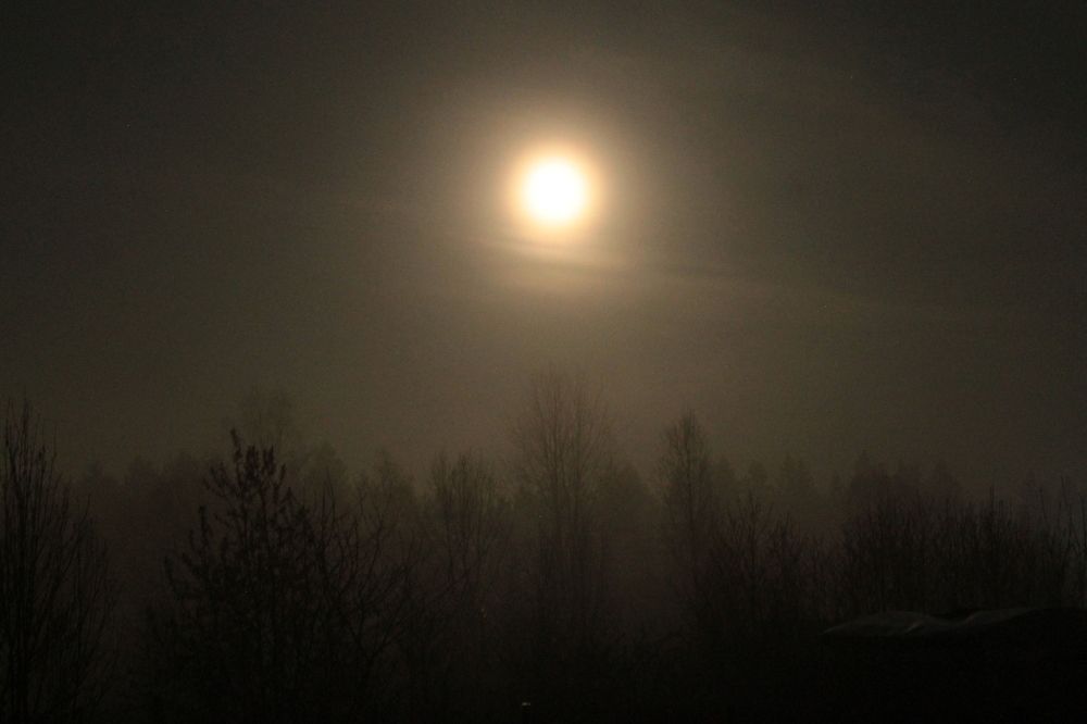 Photograph by Наталья Жигарева